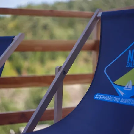 Lawendowy Jaszczurowa