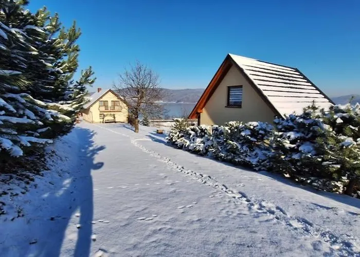 Lawendowy * Jaszczurowa